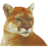 Puma Biotechnology, Inc.
