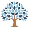 Blue Oak Consulting