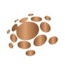 PLEXUS GLOBAL EVENTS