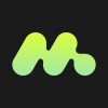 MULTIINSIGHT - Shopify Service Partners