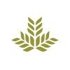 Northeast Georgia Health System