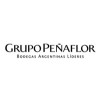 Grupo Peñaflor