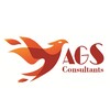 AGS CONSULTANTS